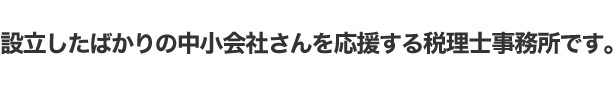 設立したばかりの中小企業さんを応援する税理士事務所です。